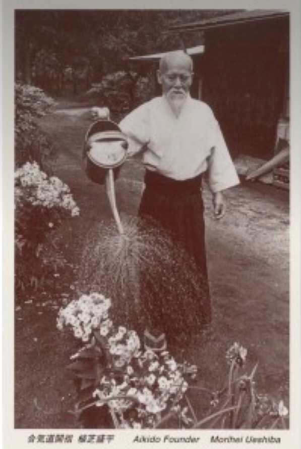 O Sensei nurturing his garden in Japan.